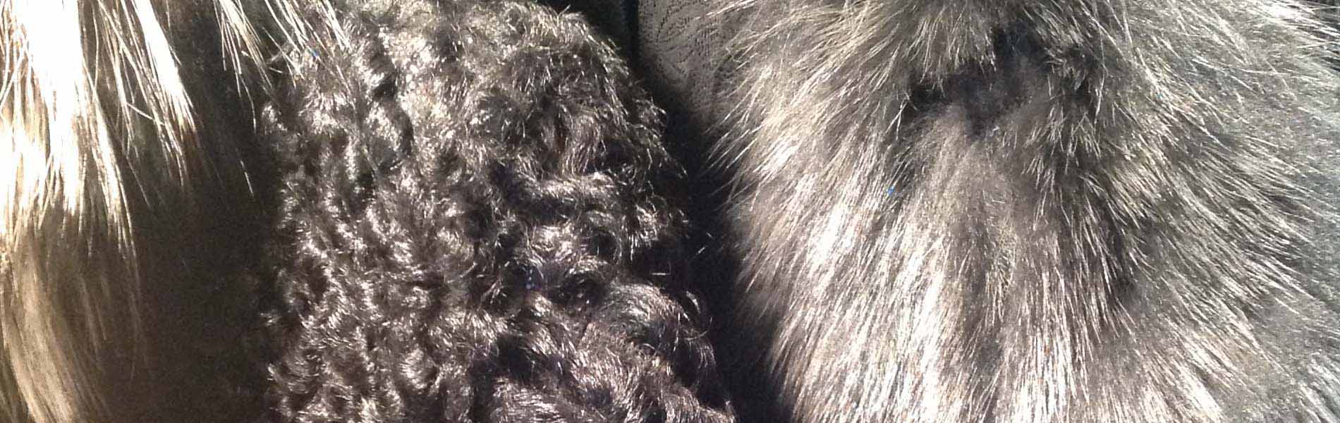 Fur